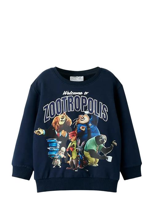 name it | Nmmnoel Zootropolis Nreg Sweat Bru Wdi | 92