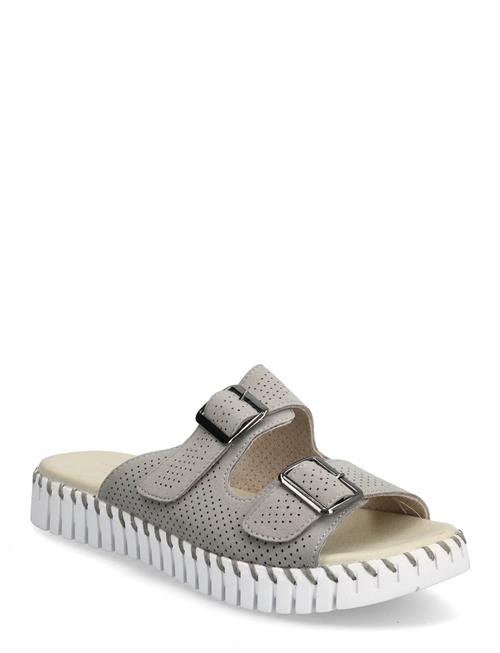 Ilse Jacobsen | Tulip1176Lc | 40