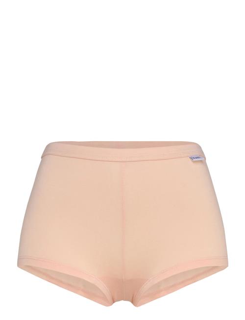 Frank Dandy | Women's Bamboo Legend Boxer | XS