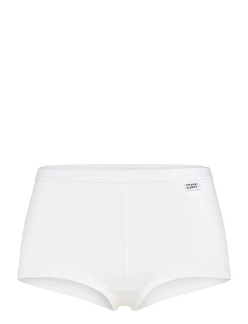 Frank Dandy | Women's Bamboo Legend Boxer | XS