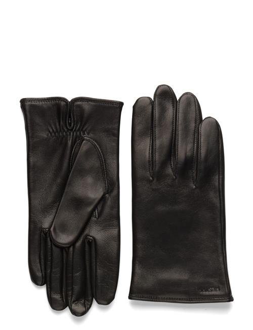 Hestra | Aiden Black | 10