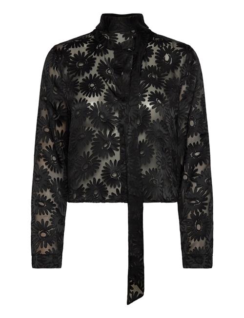 HUGO | Eurydyke | 38