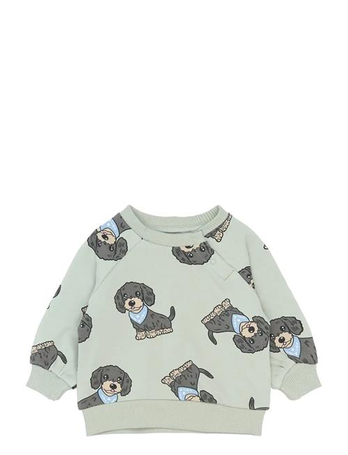 The New | Tnsbsofus Sweatshirt | 68