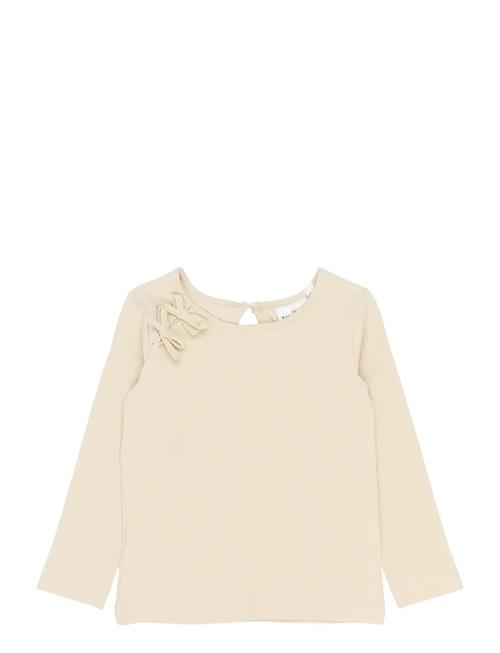 The New | Tnstsigne L_S Rib Tee | 104