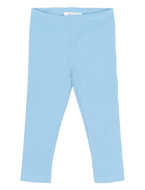 The New | Tnstrianna Rib Leggings | 104