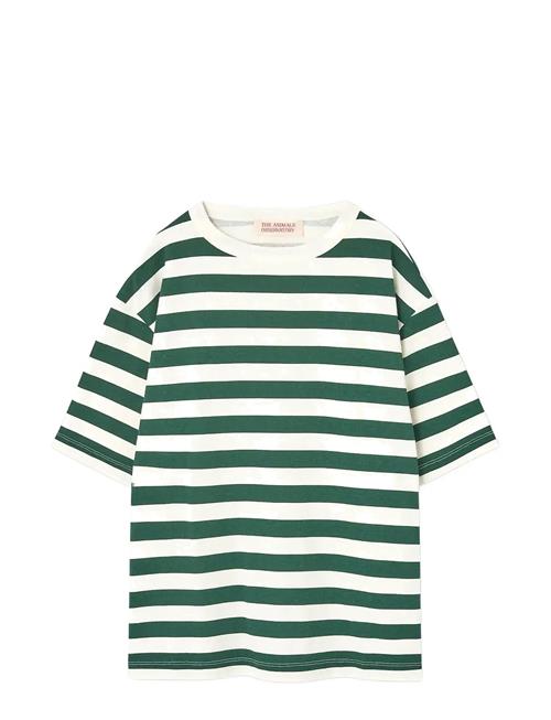 THE ANIMALS OBSERVATORY | Stripes Freen Collie T-Shirt | 12 Y