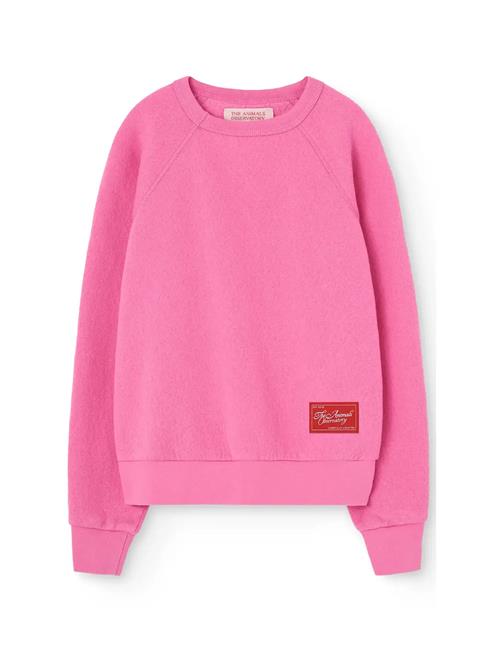 THE ANIMALS OBSERVATORY | Brifht Pink Shark Sweatshirt | 8 Y