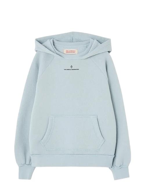 THE ANIMALS OBSERVATORY | Flowers Blue Beaver Hoodie | 6 Y