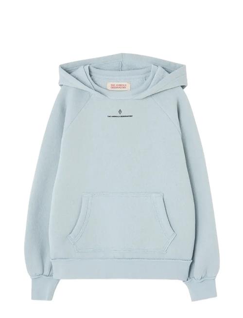 THE ANIMALS OBSERVATORY | Flowers Blue Beaver Hoodie | 12 Y