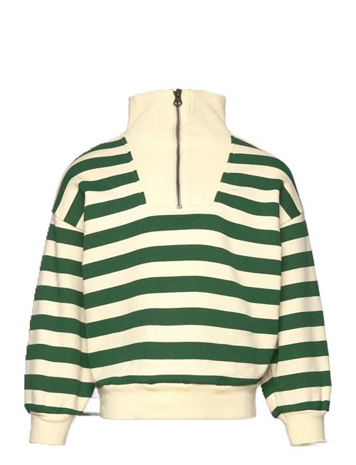 THE ANIMALS OBSERVATORY | Stripes Freen Blowfly Sweatshirt | 4 Y