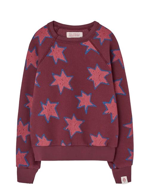 THE ANIMALS OBSERVATORY | Stars Shark Sweatshirt | 10 Y