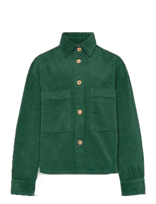 THE ANIMALS OBSERVATORY | Freen Beabull Shirt | 8 Y