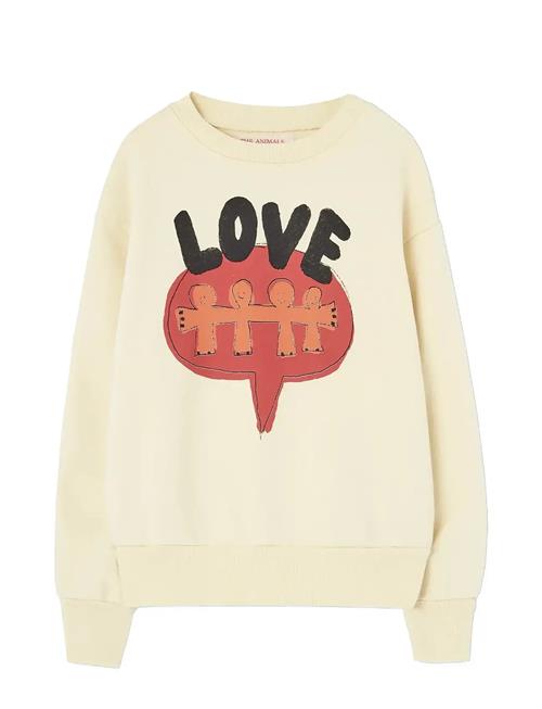 THE ANIMALS OBSERVATORY | Love Flan Yellow Bear Sweatshirt | 12 Y