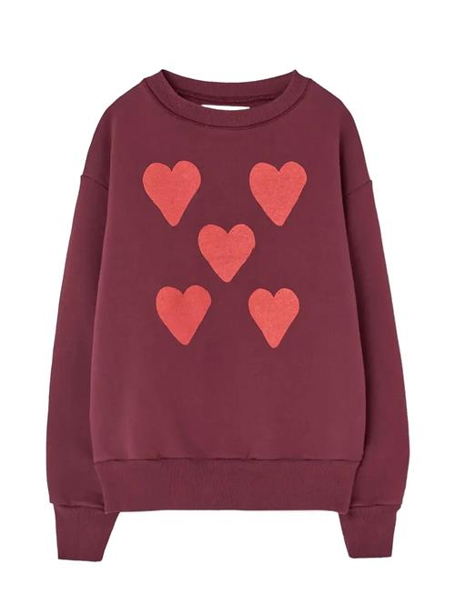 THE ANIMALS OBSERVATORY | Hearts Browned Farnet Bear Sweatshirt | 8 Y