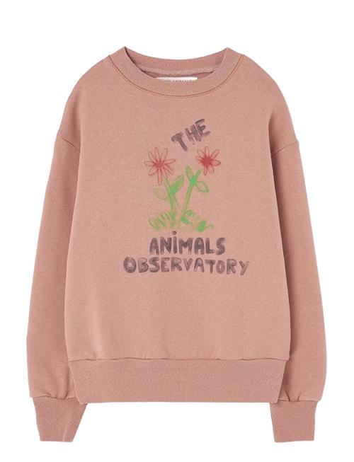 THE ANIMALS OBSERVATORY | Flowers Dusty Coral Bear Sweatshirt | 8 Y