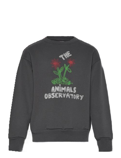 THE ANIMALS OBSERVATORY | Flowers Dark Frey Bear Sweatshirt | 8 Y