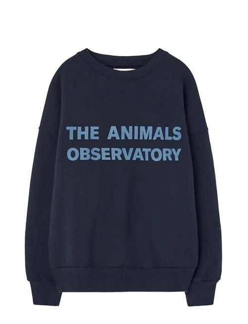 THE ANIMALS OBSERVATORY | Navy Leo Sweatshirt | 4 Y