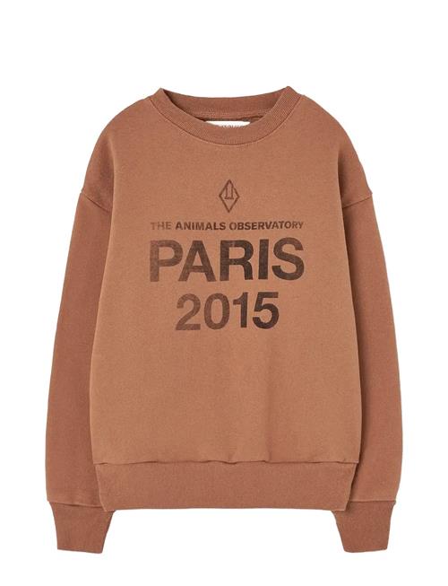 THE ANIMALS OBSERVATORY | Sun Almond Brown Bear Sweatshirt | 4 Y
