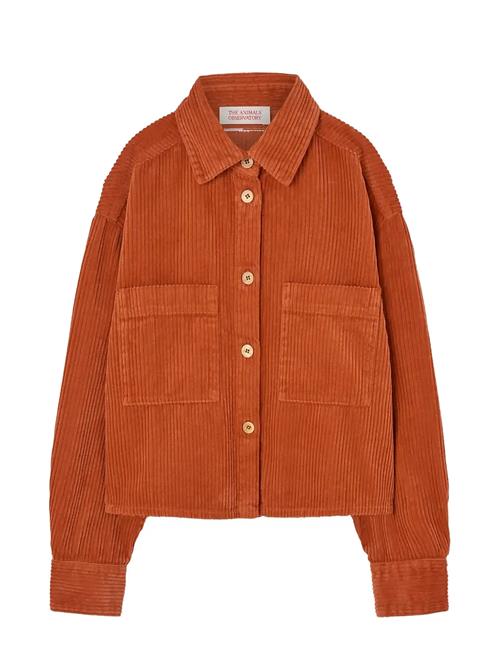 THE ANIMALS OBSERVATORY | Fif Red Beabull Shirt | 6 Y