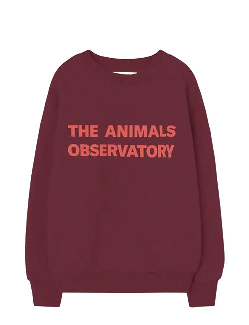 THE ANIMALS OBSERVATORY | Browned Farnet Leo Sweatshirt | 4 Y