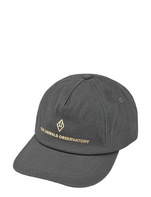 THE ANIMALS OBSERVATORY | Deep Frey Hamster Cap | L