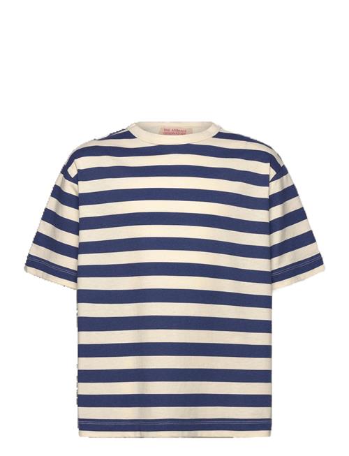 THE ANIMALS OBSERVATORY | Stripes Navy Collie T-Shirt | 8 Y