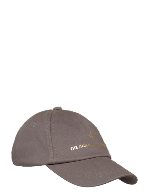 THE ANIMALS OBSERVATORY | Deep Frey Hamster Cap | M