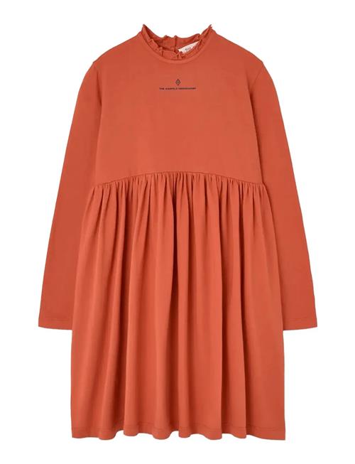 THE ANIMALS OBSERVATORY | Fif Red Crab Dress | 4 Y