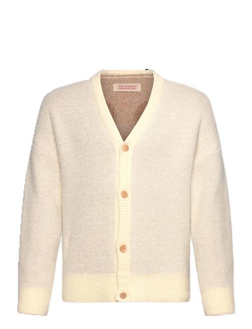 THE ANIMALS OBSERVATORY | Yellow Racoon Cardifan | 8 Y