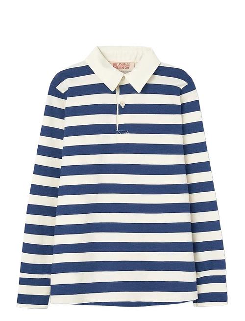 THE ANIMALS OBSERVATORY | Stripes Navy Eel Polo Shirt | 8 Y