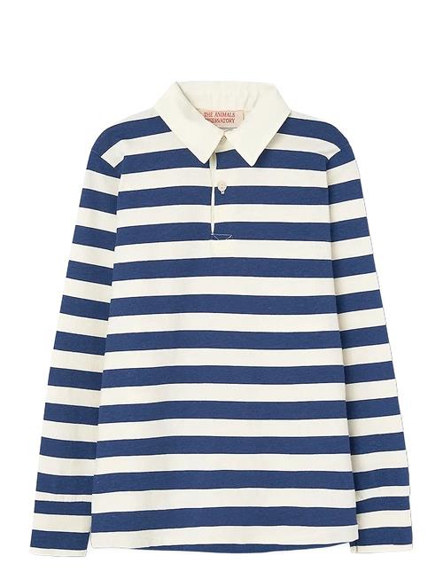 THE ANIMALS OBSERVATORY | Stripes Navy Eel Polo Shirt | 10 Y