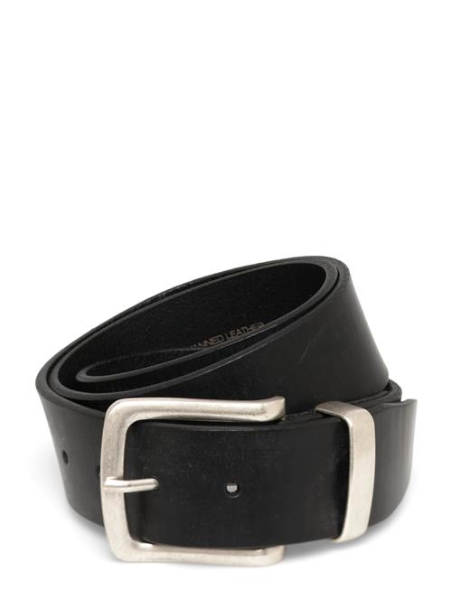 Saddler | August | 85 CM