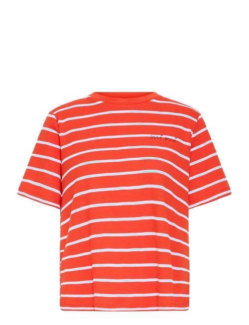 ICHI | Ihnova Ss3 | XS