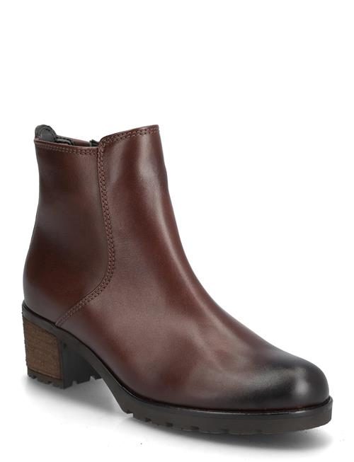 Gabor | Ankle Boot | 41