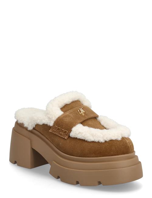 Steve Madden | Turnpike | 38