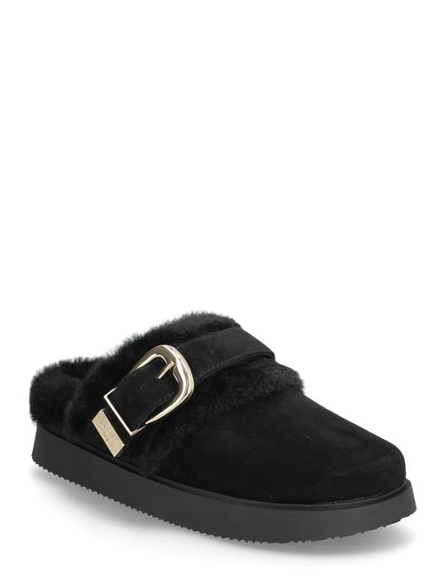 Steve Madden | Cozy Up | 39