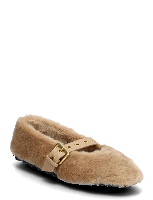 Steve Madden | Toasty | 39