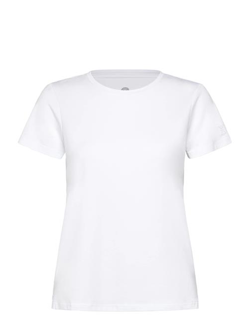 JBS of Denmark | Jbs Of Dk Basic Tee. | L