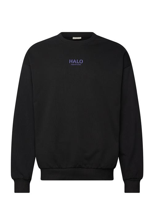 HALO | Halo Graphic Boxy Crew | XS
