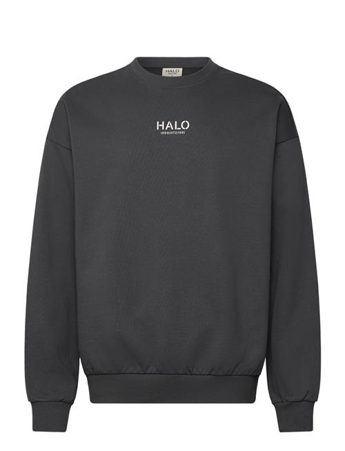 HALO | Halo Graphic Boxy Crew | S