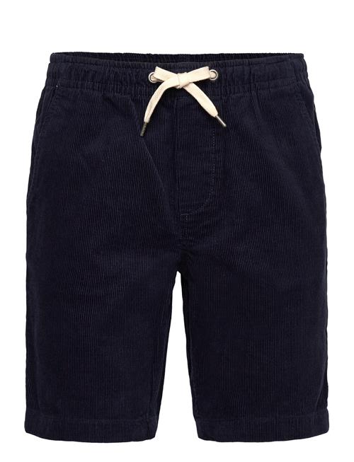 Lindbergh | Corduroy Shorts | L