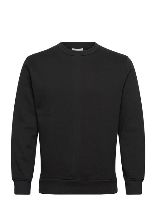 Shine Original | Crew Neck Sweat | XL