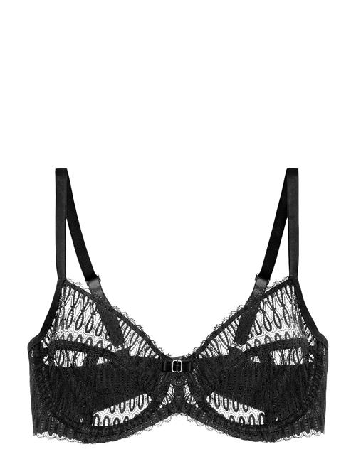 Triumph | Aura Spotlight W | C x 75