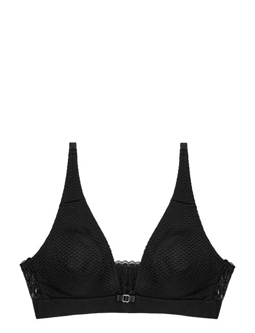 Triumph | Aura Spotlight N | D x 75