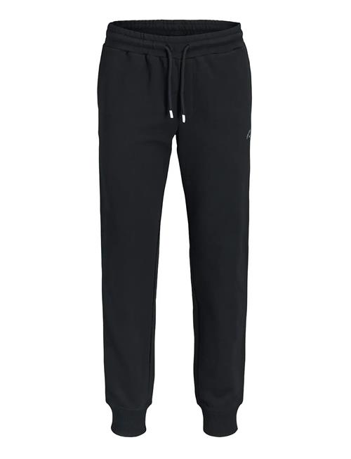 Jack & Jones | Jpstgordon College Sweat Pants | XXL