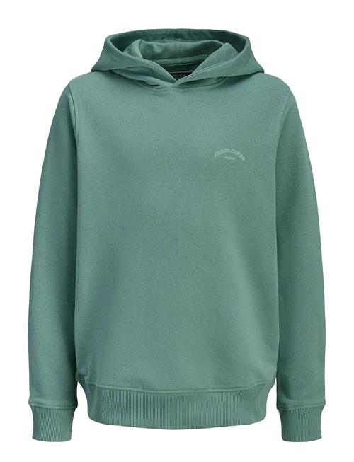 Jack & Jones | Jjcollege Logo Sweat Hood Jnr | 128