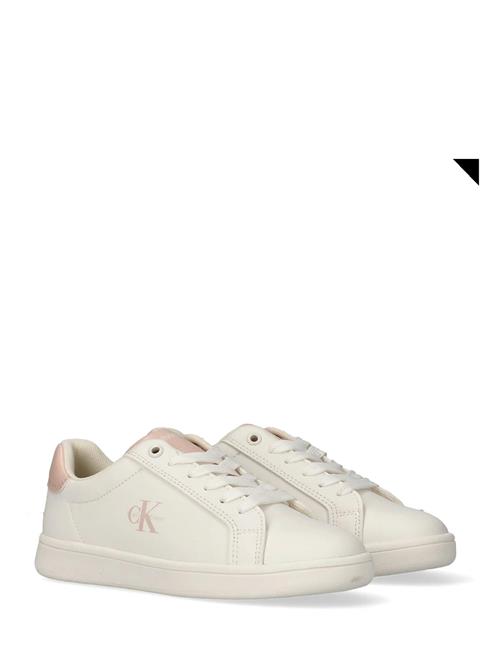Calvin Klein | Calvin Klein Low Cut Lace-Up Sneaker | 36
