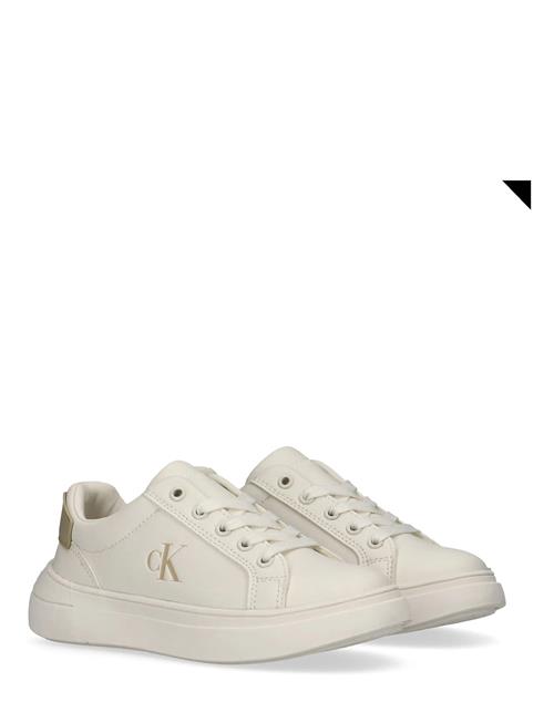 Calvin Klein | Calvin Klein Low Cut Lace-Up Sneaker | 39