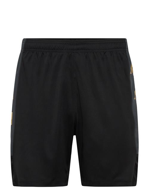 KAPPA | Km - Gondo | M