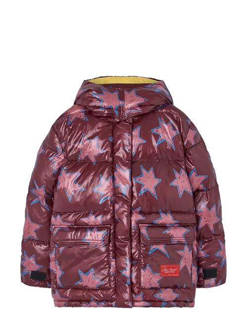 THE ANIMALS OBSERVATORY | Lemur Kid Puffer Jacket Maroon | 8 Y